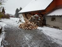 IMG_20231119_113501 (1024x768).jpg